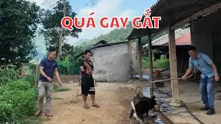 A Và Chim Cánh Cụt Bị Họ Hàng Nhà Ngoại Phản Đối Gay Gắt l A Nông TV official