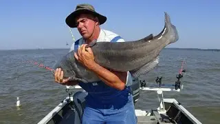 This place is a RIVER OF MONSTERS!