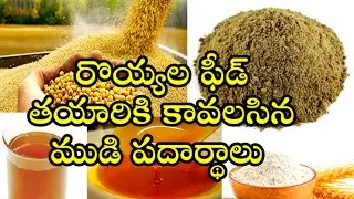 PART 2 - SHRIMP FEED INGREDIENTS||RAW MATERIAL FOR SHRIMP FEED||soya doc||fishmeal @Shrimpfeed2022