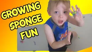 Growing Sponge Fun, Egg Surprises, Paw Patrol, Corbins Playtime
