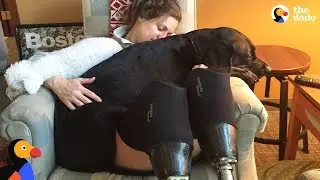 Sweet Dog Helps Mom Who Lost Her Leg at The Boston Marathon | The Dodo