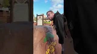 Marcus the worm finds a rock at Chessington World Of adventures #marcustheworm #rock #CWOA