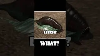 Remove Leech