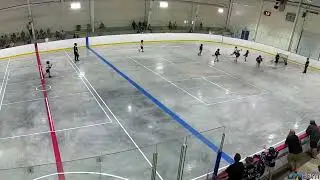 U11 Tbirds Game2 Goal14