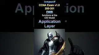 Cisco CCNA: What OSI model layer for DNS? - #icmpwolf #ciscoccna #cisco8 #ccnaexam #ccnapractice