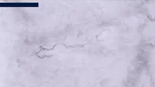 Tema: Cosa &egrave; la Maledizione?  -  Isaia 54:17  -  Pastore  Aldemir