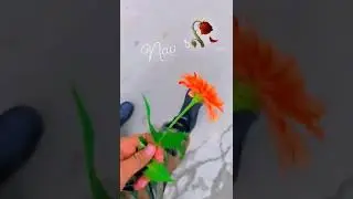 Pata Laga Tenu Shok Phullan Da Indian Army Whatsapp Status #shorts