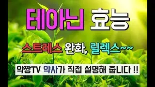 녹차 테아닌 효능 - 스트레스 긴장 완화 릴렉스 수면 약사가 설명합니다