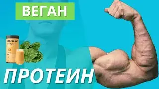 Веган протеин, ползи, недостатъци, класация с топ 15 на растителните протеини като добавка.