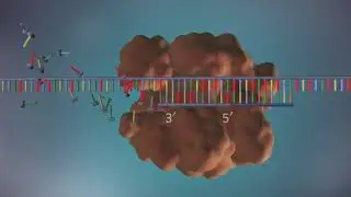 DNA portien 3D