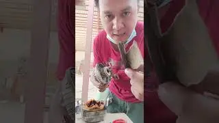 chest freezer not cooling #maintenance #viralvideo