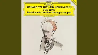R. Strauss: Ein Heldenleben, Op. 40: III. Des Helden Gefährtin