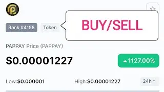 How To Buy/Sell PAPPAY (PAPPAY) on Trust Wallet 💰| How To Buy/Sell (PAPPAY) Token on pancakeswap