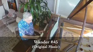 Wander #45 - Irl Sinatra (2020)
