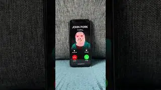 JOHN PORK SCARED MR.KORONI - RUN 😰