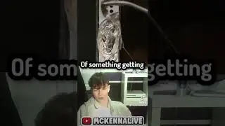 MY VIDEO HAS BEEN STOLEN