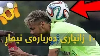 ١٠ زانیاری لەسەر نیمار
