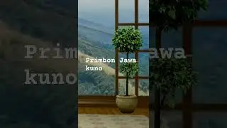 Mimpi melihat bunga melati membawa arti baik menurut Primbon Jawa