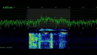 Aboba Pirate Halloween Clip 4675 kHz | Signal Phantom