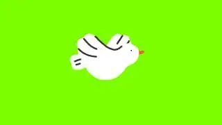 Pigeon flying cartoon green screen || Birds cartoon green screen