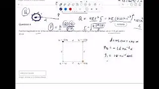 Chapter 19 Assignment