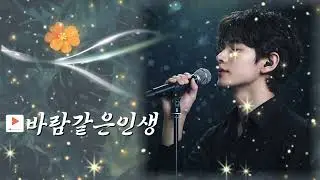 바람같은 인생 연속듣기