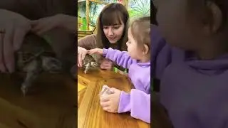 Каролина боится черепашку