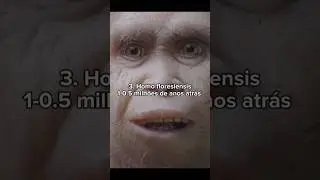 As Mais ESTRANHAS ESP&Eacute;CIES EXTINTAS de seres HUMANOS. #voc&ecirc;sabia #extin&ccedil;&atilde;o  #curiosidadeshistoricas