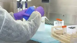 Containing Spills in Your Class II, Type A2 Biosafety Cabinet