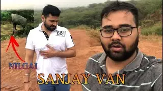 SANJAY VAN DELHI | NILGAI IN SANJAY VAN | HAUNTED FOREST OF NEW DELHI | MEHRAULI |
