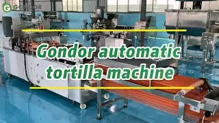 Gondor Automatic Tortilla Making Machine - Reliable Commercial Tortilla Maker for Food Businesses