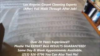 Mid City Los Angeles Carpet Cleaning TRASHED CARPET Rotovac 360i