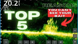 Top 5 Fixes for Missing Bait on Garmin Livescope