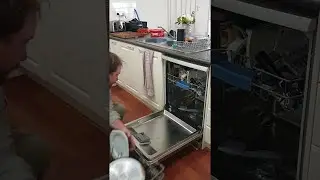 Deadly Snake Discovered in Dishwasher || ViralHog