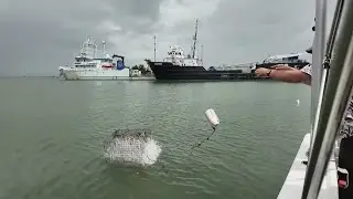 Researchers at Univ. of Delaware locate lost crab traps