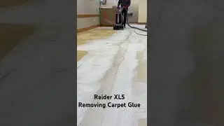 See How To Remove Carpet Glue & Get a CSP3 Profile  #short #shortvideo  #concrete
