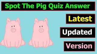 Spot the pig quiz answers | LATEST UPDATED VERSION | All 30 Possible questions | quizdiva