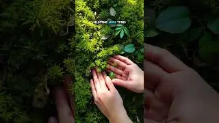 Moss Magic: Sculpt Your Garden into Living Art!, #NatureArt #GardenMagic #MossSculpture