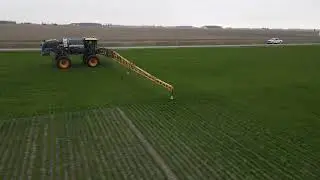 Field 17 wheat top dress 2 of 4