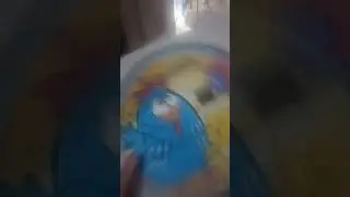 Babysec galinha pintadinha