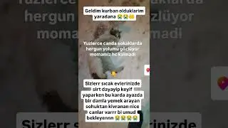 sokaklardada yuzlerce cana yetismeye calisyrm bittimmm tukendim hic momamizda kalmadi destk😭😭😭