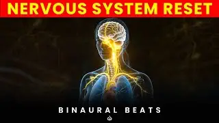 Binaural Beats for Vagus Nerve Healing & Nervous System Stimulation
