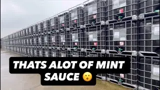  HOW TO MAKE MUSTARD & MINT SAUCE PLUS #AnswerAsAPercent 2153
