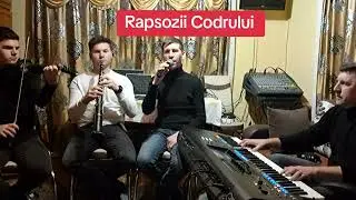 RAPSOZII CODRULUI  ...Satu Mare... colaj codru... Fain cînta frunza în codru  !!!