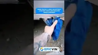 🚗 EpicVIN Cars & Trucks &ndash; Check Vehicle History Before You Buy! 🔍🛻