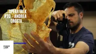 Andrea Crosta Talks Wildlife Conservation - EP 20