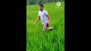 #Short|| 🥬the most beautiful scenery in th world🥬|| #IMGmusic||🥬beautiful natural pictures🥬