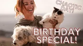 NEW ARRIVALS, BABY GOAT, CLEANING BEACH AND BIRTHDAY CHAOS | Tenerife Horse Rescue Finca life E67