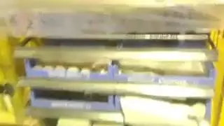 Rat in donuts