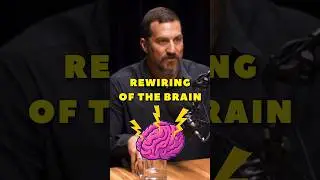 Learning how to change your brain from Dr. Andrew Huberman on the Rich Roll Podcast
